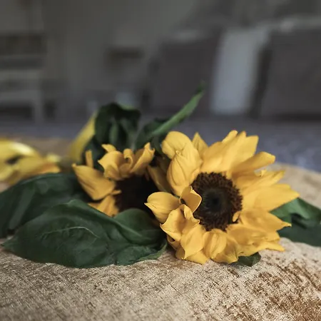 Sibilla Petit Relais Bubbio